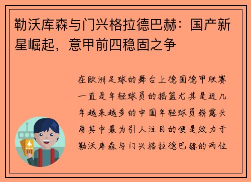 勒沃库森与门兴格拉德巴赫：国产新星崛起，意甲前四稳固之争